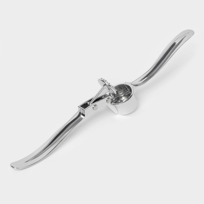 Пресс для чеснока Доляна «Эрнест», 15 см, цвет серебряный Пресс для чеснока Доляна «Эрнест», 15 см, цвет серебряный