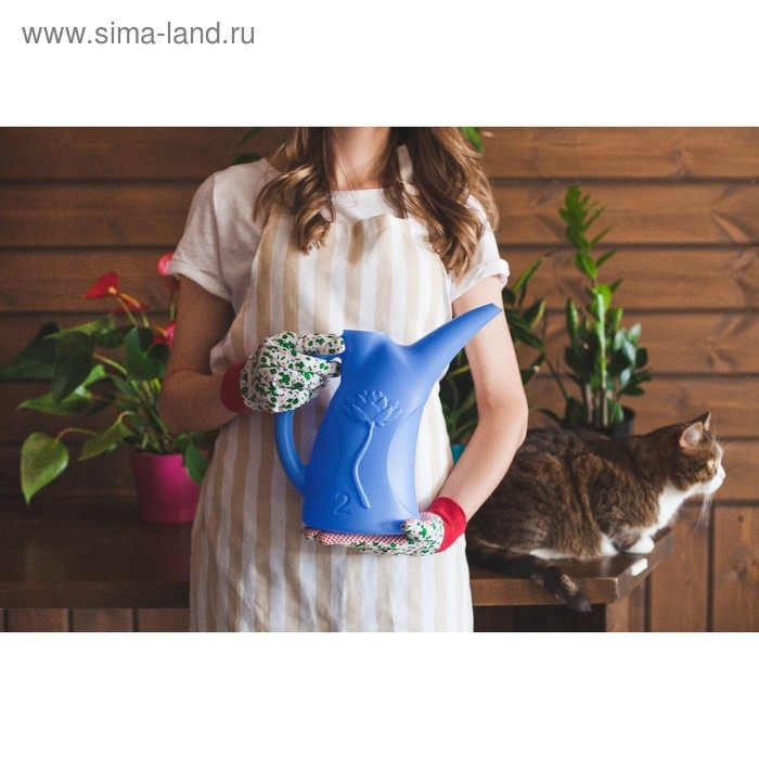 Лейка, 2 л, без рассеивателя, МИКС, «Лотос» Лейка, 2 л, без рассеивателя, МИКС, «Лотос»