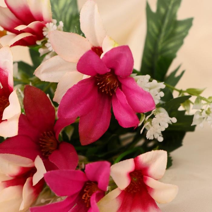 Букет Букет "Безвременник" 30 см, микс