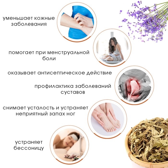 Травяной сбор для запарки ног  Травяной сбор для запарки ног "Полынь и лаванда", набор 5 шт
