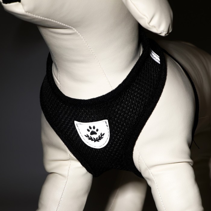 Комплект амуниции с мягкой шлейкой и светоотражающей нашивкой, M, ОШ 26 см, ОГ 36-44 см, чёрный 7614 Комплект амуниции с мягкой шлейкой и светоотражающей нашивкой, M, ОШ 26 см, ОГ 36-44 см, чёрный 7614