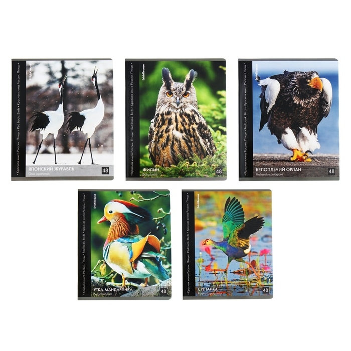 Тетрадь 48 листов в клетку, ErichKrause Тетрадь 48 листов в клетку, ErichKrause "Красная книга России. Птицы", обложка мелованный картон, глянцевая ламинация, блок офсет 100% белизна, МИКС