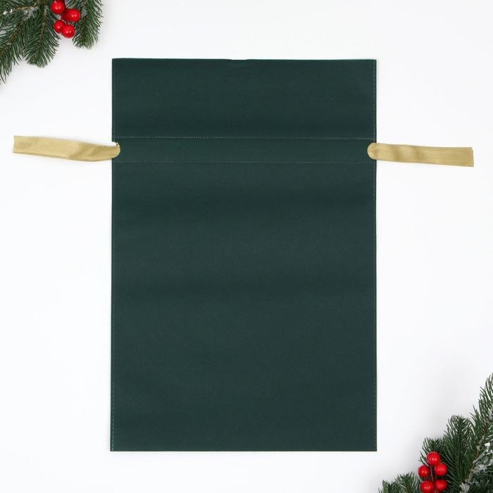 Новый год. Мешок подарочный Новый год. Мешок подарочный "Новогоднее чудо", 30 x 45 см