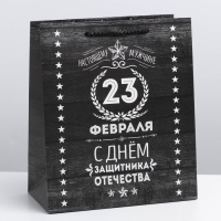 Пакет подарочный ламинированный вертикальный, упаковка, «Защитнику», ML 23 х 27 х 11,5 см