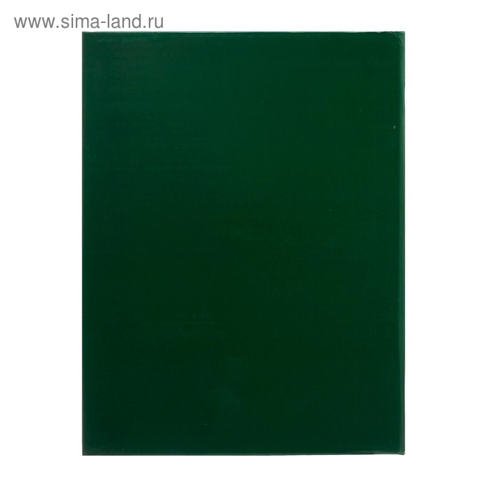 Фотоальбом Фотоальбом "Наш семеный фотоальбом", 200 фото