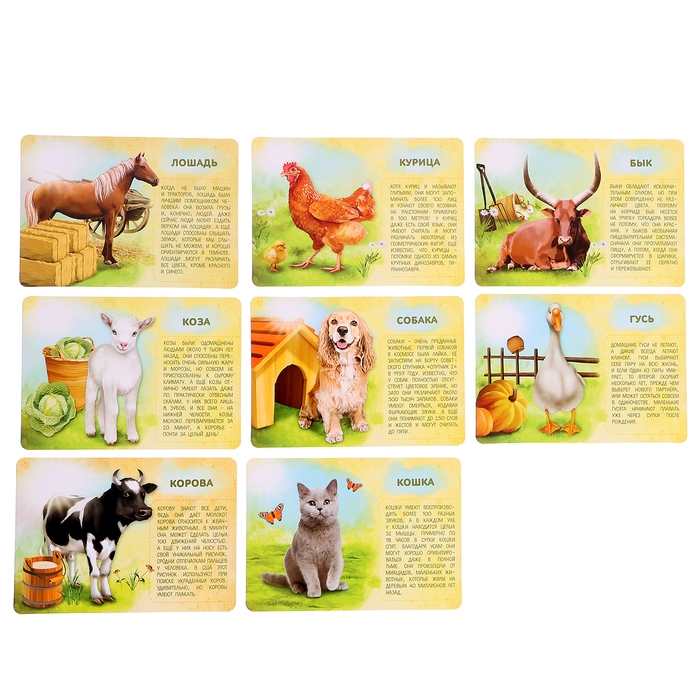Набор животных с обучающими карточками «Фермерское хозяйство», животные пластик, карточки, по методике Монтессори Набор животных с обучающими карточками «Фермерское хозяйство», животные пластик, карточки, по методике Монтессори