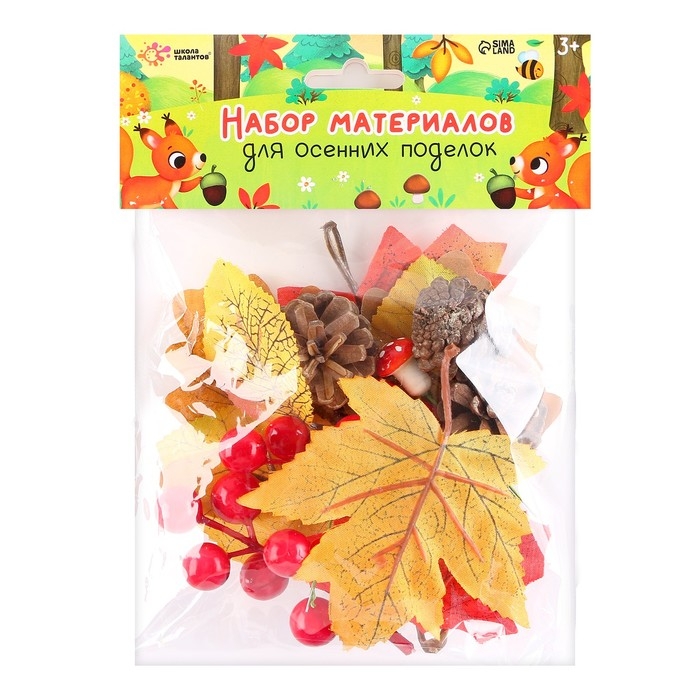 Набор для творчества «Материалы для осенних поделок. Листья, шишки»