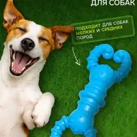 Игрушка для собак резиновая &laquo;Гантель-крабы&raquo;, TPR, 11.5&times;2 см, голубая
