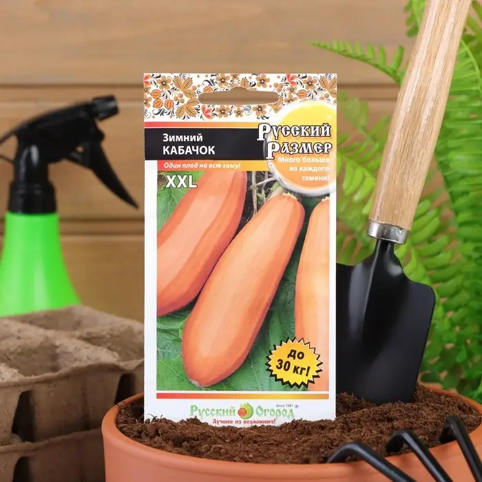 Семена Кабачок Семена Кабачок "Зимний", 5 шт.