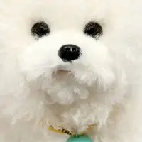 Интерактивная игрушка "Добрый щенок" звук, ходит, повторяет