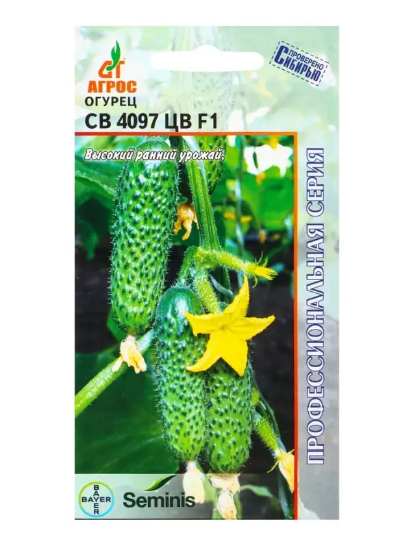 Семена Огурец, &laquo;СВ 4097 ЦВ&raquo;, F1, 8 шт., Seminis, &laquo;Агрос&raquo;