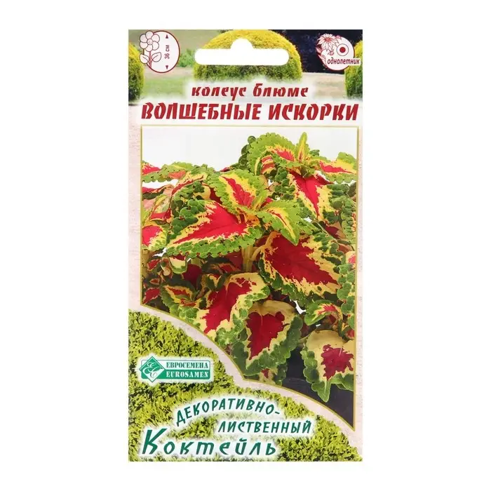 Семена Колеус блюме  Семена Колеус блюме "Волшебные Искорки",  10 шт