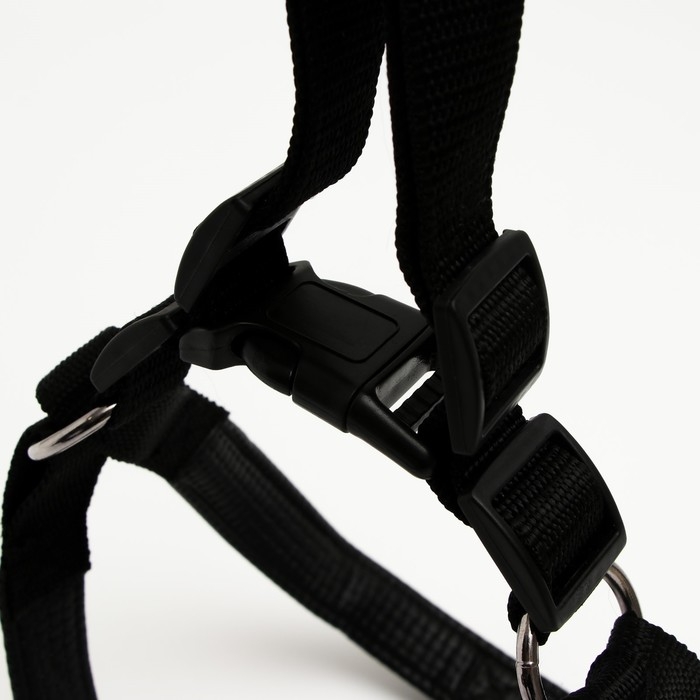 Шлейка Шлейка "Комфорт" комбинированная, 2,5 см, ОШ 55-60 см, ОГ 60-65 см, чёрная