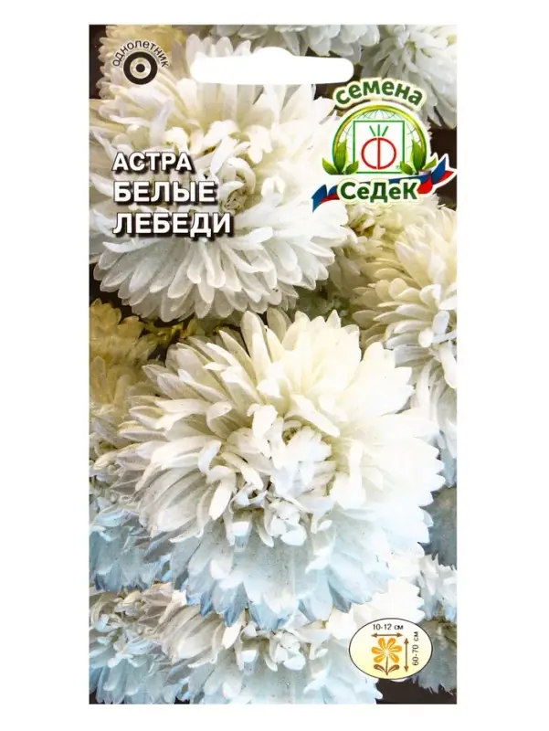 Семена Цветов Астра "Белые лебеди "0.2 г