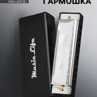 Губная гармошка Music Life, диатоническая, C-major, с футляром, серебристая
