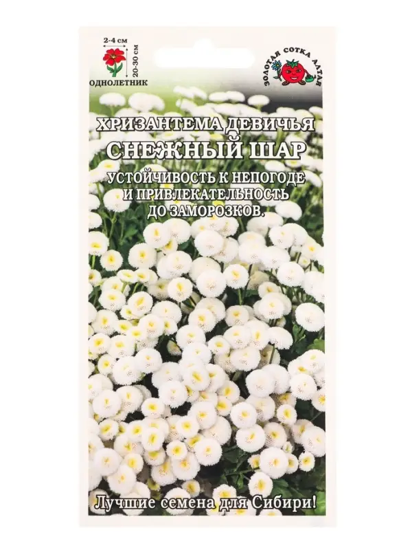 Семена Хризантема Снежный шар /Сотка/ 0,05г/ бел. махр. девичья h-30см, d-4см/*1800 Семена Хризантема Снежный шар /Сотка/ 0,05г/ бел. махр. девичья h-30см, d-4см/*1800