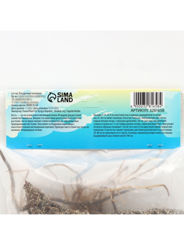 Хоста «Патриот», корневище в пакете с торфогрунтом, р-р I, 1 шт.