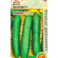 Семена Огурец "Зозуля" F1 10 шт Семена Огурец "Зозуля" F1 10 шт