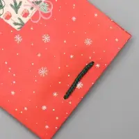 Пакет подарочный ламинированный, "Подарки" , 18 х 10 х 22,3 см