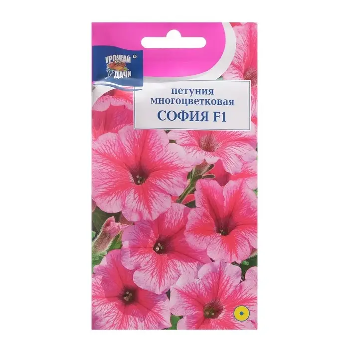 Семена цветов Петуния мног Семена цветов Петуния мног "София F1", 0,01г . в амп.