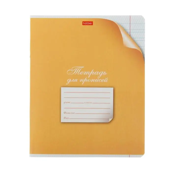 Тетрадь 12 листов в частую косую линейку, обложка мелованный картон, блок офсет, МИКС