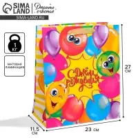 Пакет подарочный ламинированный, упаковка, «Весёлого дня рождения!», ML 23 х 27 х 11.5 см