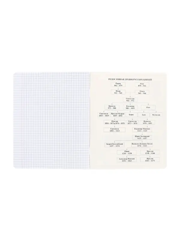 Тетрадь 48 листов в клетку &laquo;Буквица&raquo; ИСТОРИЯ, обложка мелованный картон, матовая ламинация, тиснение фольгой, с интерактивным справочником, б...