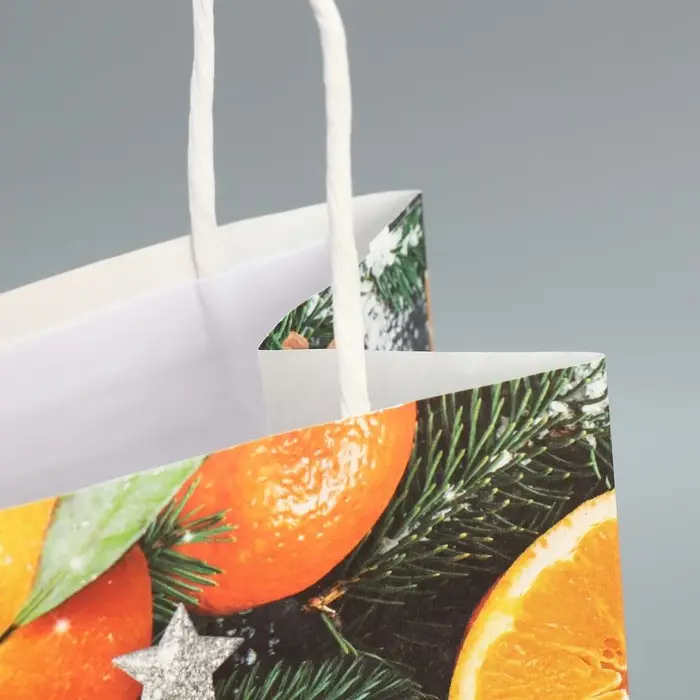 Пакет под бутылку «Мандарины», 13 x 36 x 10 см Пакет под бутылку «Мандарины», 13 x 36 x 10 см