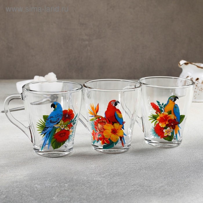 Кружка стеклянная «Тропические птицы», 250 мл, рисунок МИКС