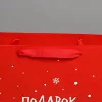 Пакет подарочный новогодний ламинированный &laquo;Подарок от Деда Мороза&raquo;, L 31&times;40&times;11.5 см