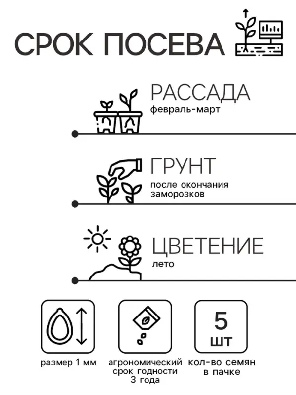 Семена цветов Катарантус "Тату Малина", 5 шт