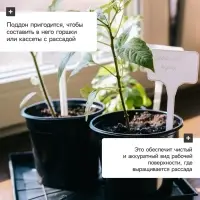 Поддон для рассады, 21×21×1.7 см, пластик, чёрный