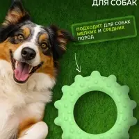Жевательная игрушка для собак &laquo;Кольцо с шипами&raquo;, 8.5 см, TPR, зелёная
