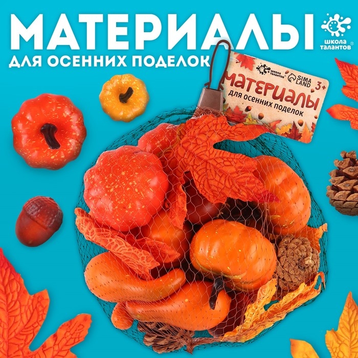 Набор для творчества &laquo;Осенние поделки&raquo;, в сетке