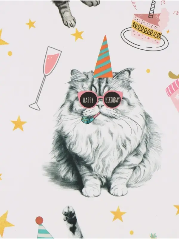 Бумага упаковочная глянцевая &laquo;Танцевальные поздравления&raquo;, 50&times;70 см