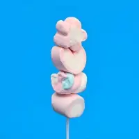 Зефир "Зефирный шашлычок", на палочке в банке, 12 г