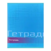 Тетрадь 48 листов в линейку Calligrata «Цвет и графика», обложка мелованная бумага, блок №2, белизна 75% (серые листы), МИКС