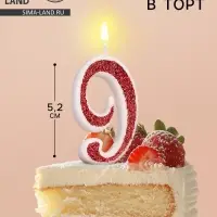 Свеча в торт на шпажке «Рубиновая коллекция», цифра 9, 5.2 см, рубиновая