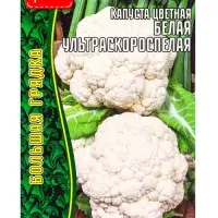 Семена Капусты цветной &laquo;Белая Ультраскороспелая&raquo;, 0.2 г &laquo;Григорьев&raquo;