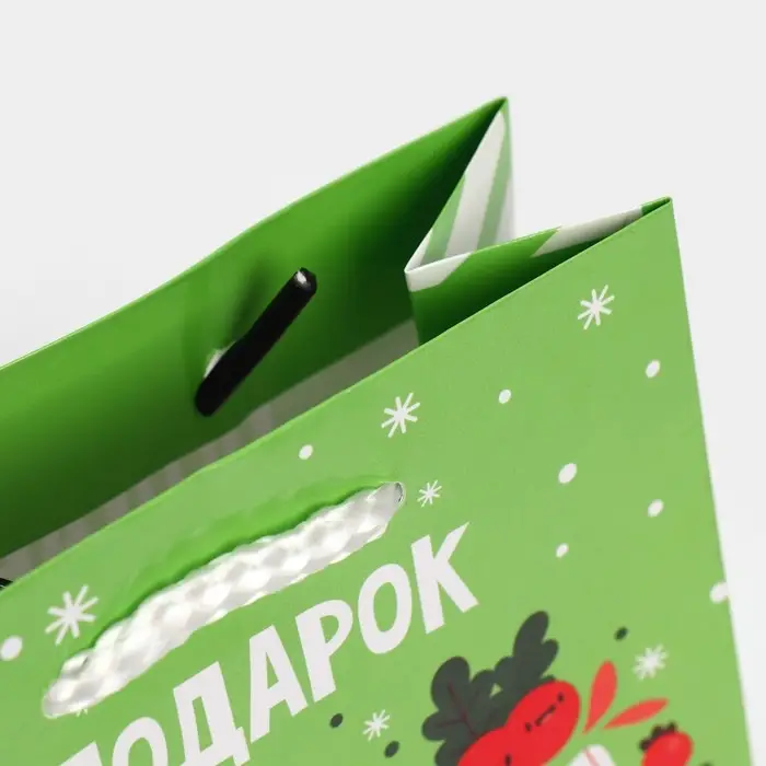 Пакет ламинированный вертикальный &laquo;Подарок&raquo;, S 12 &times; 15 &times; 5,5 см
