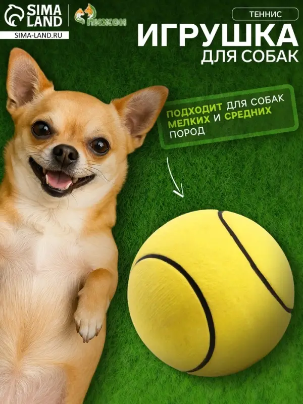Мяч для собак &laquo;Теннис&raquo;, 6.3 см, цельнолитой, прыгучий, TPR, жёлтый