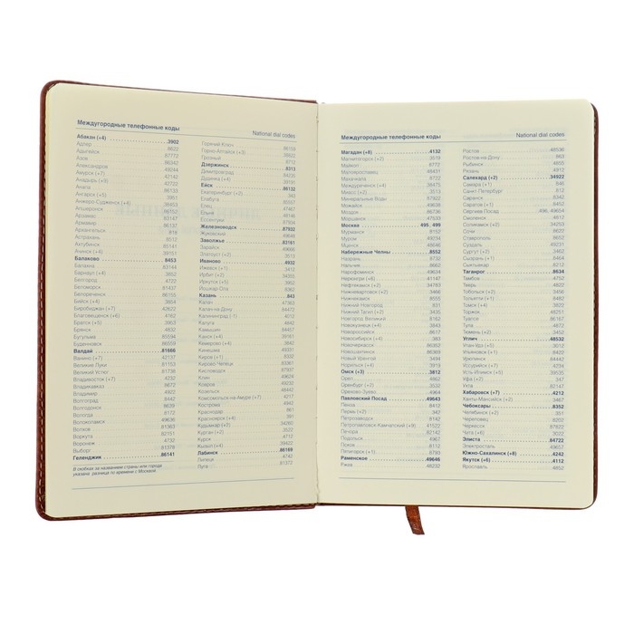 Ежедневник недатированный А5, 120 листов в клетку, с хлястиком обложка кожзам, МИКС