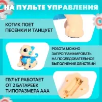 Робот кот &laquo;Пультовод&raquo; ZHORYA, на пульте управления, интерактивный: сенсорный, звук, свет, на батарейках, на русском языке, синий