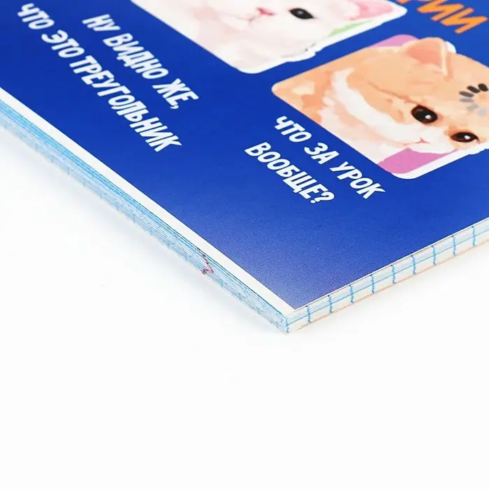 Тетрадь в клетку, предметная, 36 л.,на скрепке, блок №1 &laquo;Мемы. Геометрия&raquo;