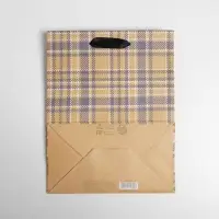 Пакет подарочный крафтовый, упаковка, &laquo;You are my hero&raquo;, MS 18 х 23 х 10 см