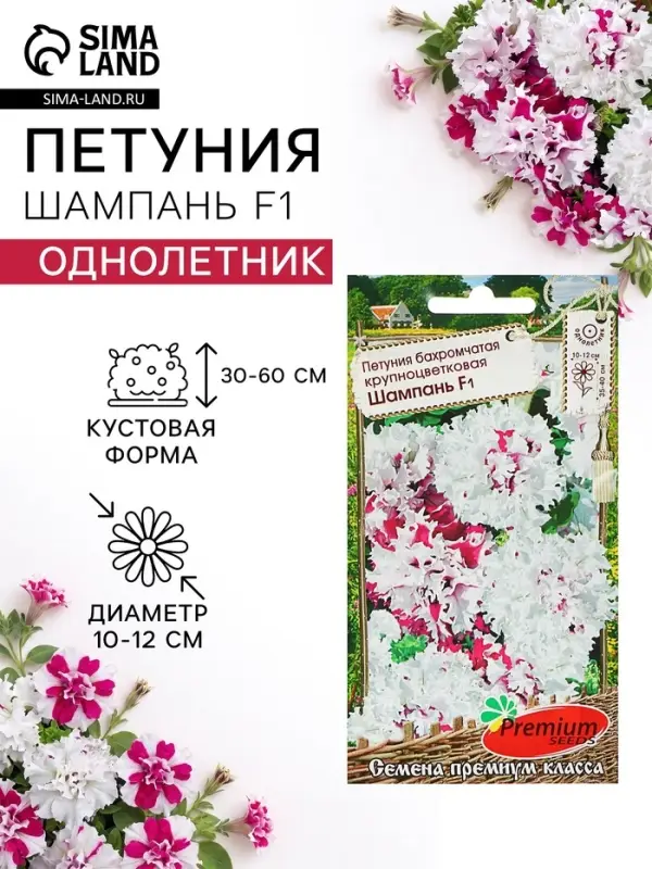 Семена цветов Петуния бахромчатая, крупноцветковая &laquo;Шампань&raquo; F1, 7 шт.