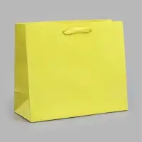 Пакет подарочный ламинированный, ML 27&times;23&times;11.5 см, неон жёлтый