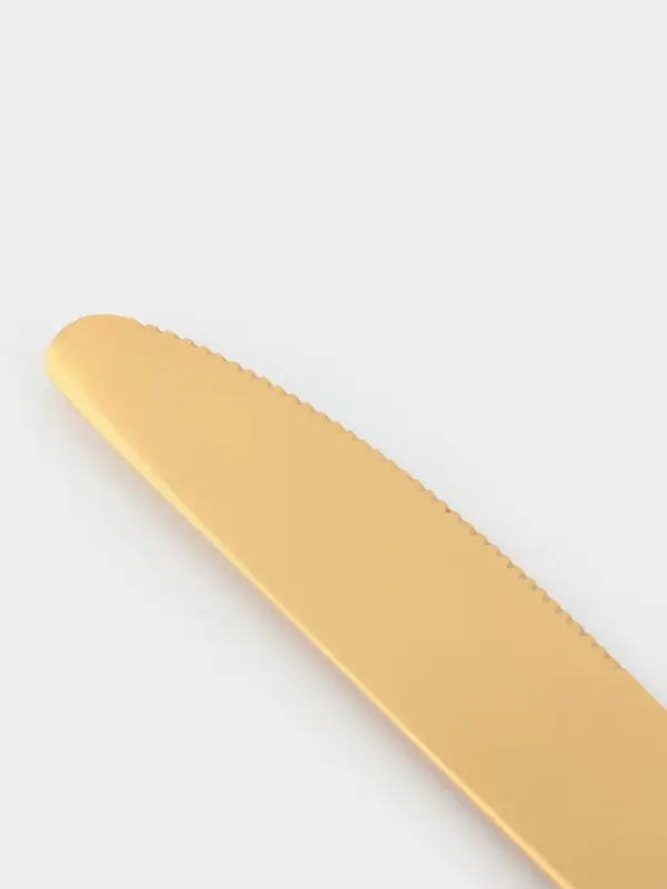 Ножи столовые Доляна &laquo;Голд&raquo;, длина 22 см, набор 6 шт., нержавеющая сталь, золотистые