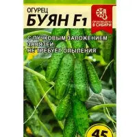 Семена огурца &laquo;Буян&raquo;, 5 шт., &laquo;Семена Алтая&raquo;
