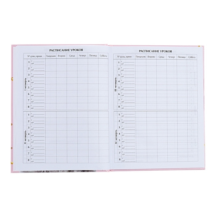 Дневник универсальный для 1-11 классов, Дневник универсальный для 1-11 классов, "Киса", твердая обложка 7БЦ, глянцевая ламинация, 40 листов